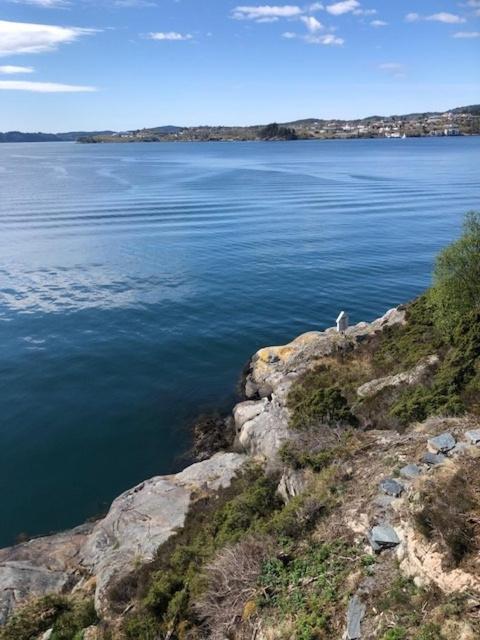 Koselig Nyoppusset 3 Roms Leilighet Med Egen Parkeringsplass I Rolige Omgivelse Naer Sjoen, 2 Mil Nord For Bergen Sentrum. Buitenkant foto
